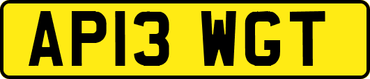 AP13WGT