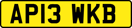 AP13WKB