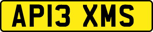 AP13XMS