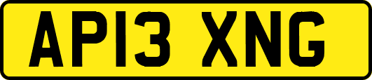 AP13XNG