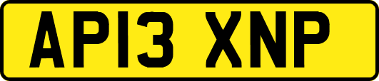 AP13XNP