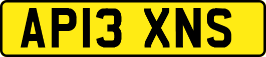 AP13XNS
