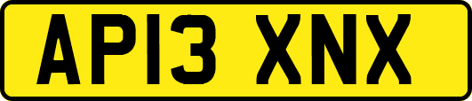 AP13XNX