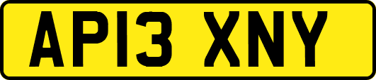 AP13XNY