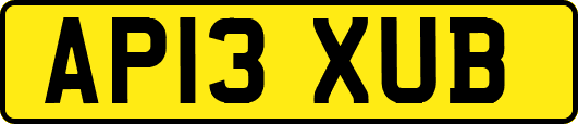 AP13XUB