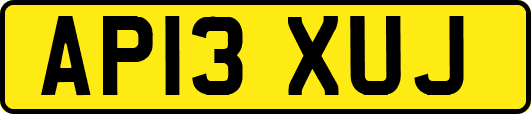 AP13XUJ