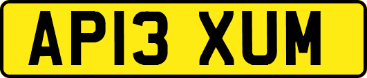 AP13XUM
