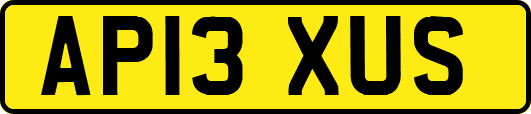 AP13XUS