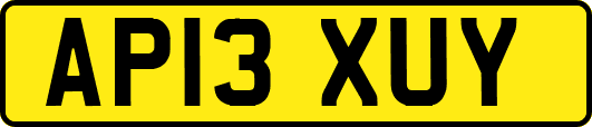 AP13XUY