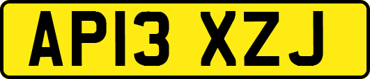 AP13XZJ
