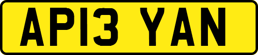 AP13YAN