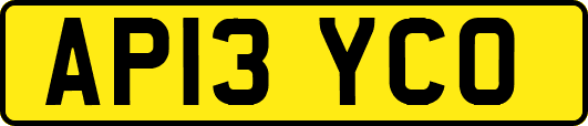 AP13YCO