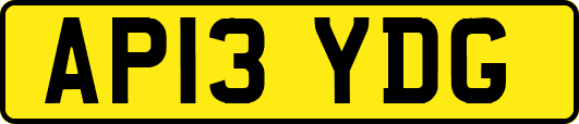 AP13YDG