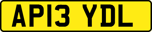 AP13YDL