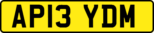 AP13YDM