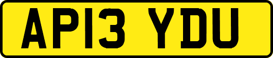 AP13YDU