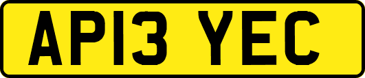 AP13YEC