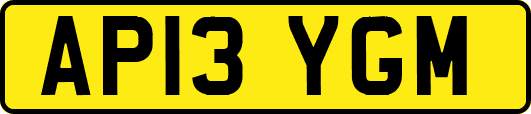 AP13YGM