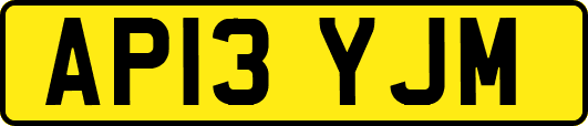 AP13YJM