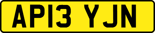 AP13YJN