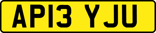 AP13YJU