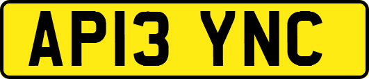 AP13YNC