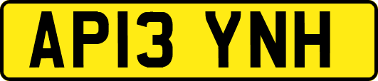 AP13YNH