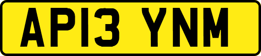 AP13YNM