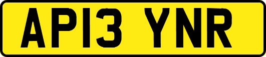 AP13YNR