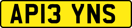 AP13YNS