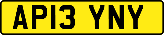 AP13YNY