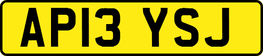 AP13YSJ