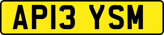 AP13YSM
