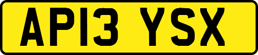 AP13YSX
