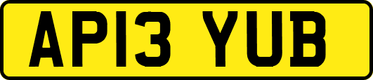 AP13YUB