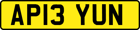 AP13YUN