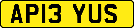 AP13YUS