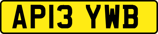 AP13YWB
