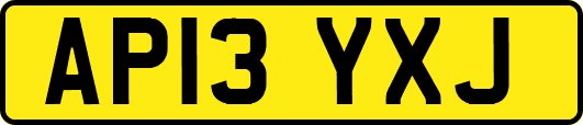 AP13YXJ