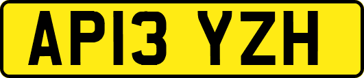 AP13YZH