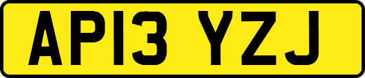AP13YZJ