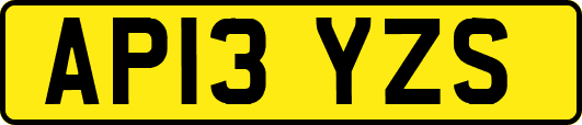 AP13YZS