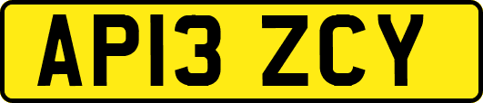 AP13ZCY