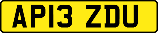 AP13ZDU