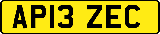 AP13ZEC