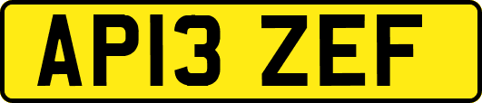 AP13ZEF