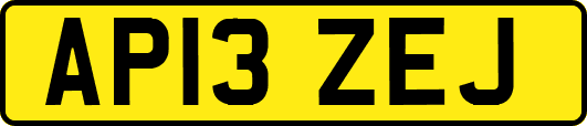 AP13ZEJ
