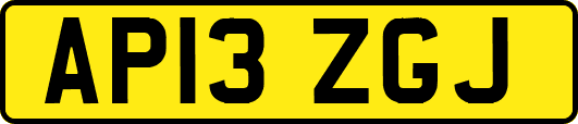 AP13ZGJ