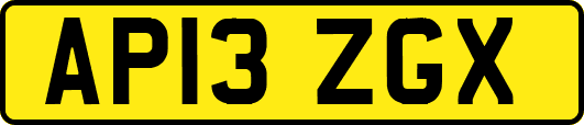 AP13ZGX