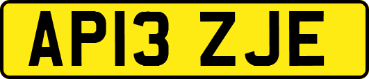 AP13ZJE